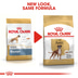 ROYAL CANIN Boxer Adult granule pro psy