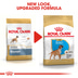 ROYAL CANIN Boxer Puppy