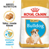 ROYAL CANIN Bulldog Puppy granule pro štěňata