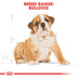 ROYAL CANIN Bulldog Puppy granule pro štěňata