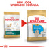 ROYAL CANIN Golden Retriever Puppy pro štěňata
