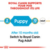 Royal Canin Pug Junior