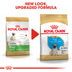 Royal Canin Pug Junior