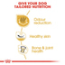 ROYAL CANIN Bulldog Adult