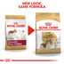 ROYAL CANIN Cavalier King Charles Adult