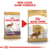 ROYAL CANIN Cocker Adult
