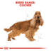 ROYAL CANIN Cocker Adult