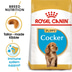 Royal Canin Cocker Junior