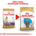 Royal Canin Cocker Junior
