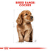 Royal Canin Cocker Junior