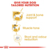 ROYAL CANIN Dachshund Adult