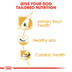ROYAL CANIN Dalmatian Adult
