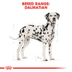 ROYAL CANIN Dalmatian Adult
