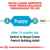 ROYAL CANIN French Bulldog Puppy suché krmivo pro štěňata francouzského buldočka