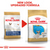 ROYAL CANIN French Bulldog Puppy suché krmivo pro štěňata francouzského buldočka