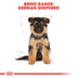 Royal Canin German Shepherd Junior