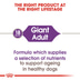 ROYAL CANIN GIANT Adult