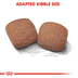 ROYAL CANIN GIANT Adult