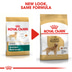 Royal Canin Labrador Retriever Adult