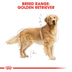 Royal Canin Labrador Retriever Adult