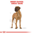 ROYAL CANIN Great Dane Adult