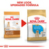 ROYAL CANIN Labrador Retriever Puppy granule pro štěňata