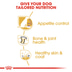 ROYAL CANIN Labrador Retriever Adult Sterilised