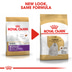 ROYAL CANIN Maltese Adult