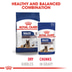 ROYAL CANIN MAXI Ageing 8+