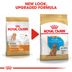 Royal Canin Poodle Junior