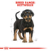 Royal Canin Rottweiler Junior