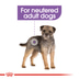 ROYAL CANIN STERILISED MINI