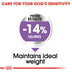 ROYAL CANIN STERILISED MINI