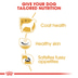 ROYAL CANIN West Highland White Terrier