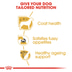 ROYAL CANIN Yorkshire Terrier Adult granule pro psy