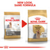 ROYAL CANIN Yorkshire Terrier Adult granule pro psy