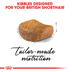 ROYAL CANIN British Shorthair granule pro britské krátkosrsté kočky