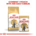 ROYAL CANIN British Shorthair granule pro britské krátkosrsté kočky