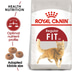 ROYAL CANIN FIT granule pro aktivní kočky