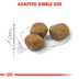 ROYAL CANIN FIT granule pro aktivní kočky