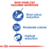 ROYAL CANIN INDOOR 27 granule pro bytové kočky