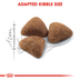 ROYAL CANIN INDOOR 27 granule pro bytové kočky