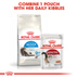 Royal Canin Long Hair 35