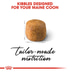 ROYAL CANIN Maine Coon Adult granule pro kočky