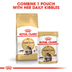 ROYAL CANIN Maine Coon Adult granule pro kočky