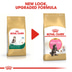 ROYAL CANIN Maine Coon granule pro koťata