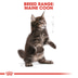 ROYAL CANIN Maine Coon granule pro koťata