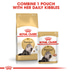 Royal Canin Persian 30