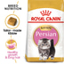 Royal Canin Kitten Persian