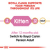 Royal Canin Kitten Persian
